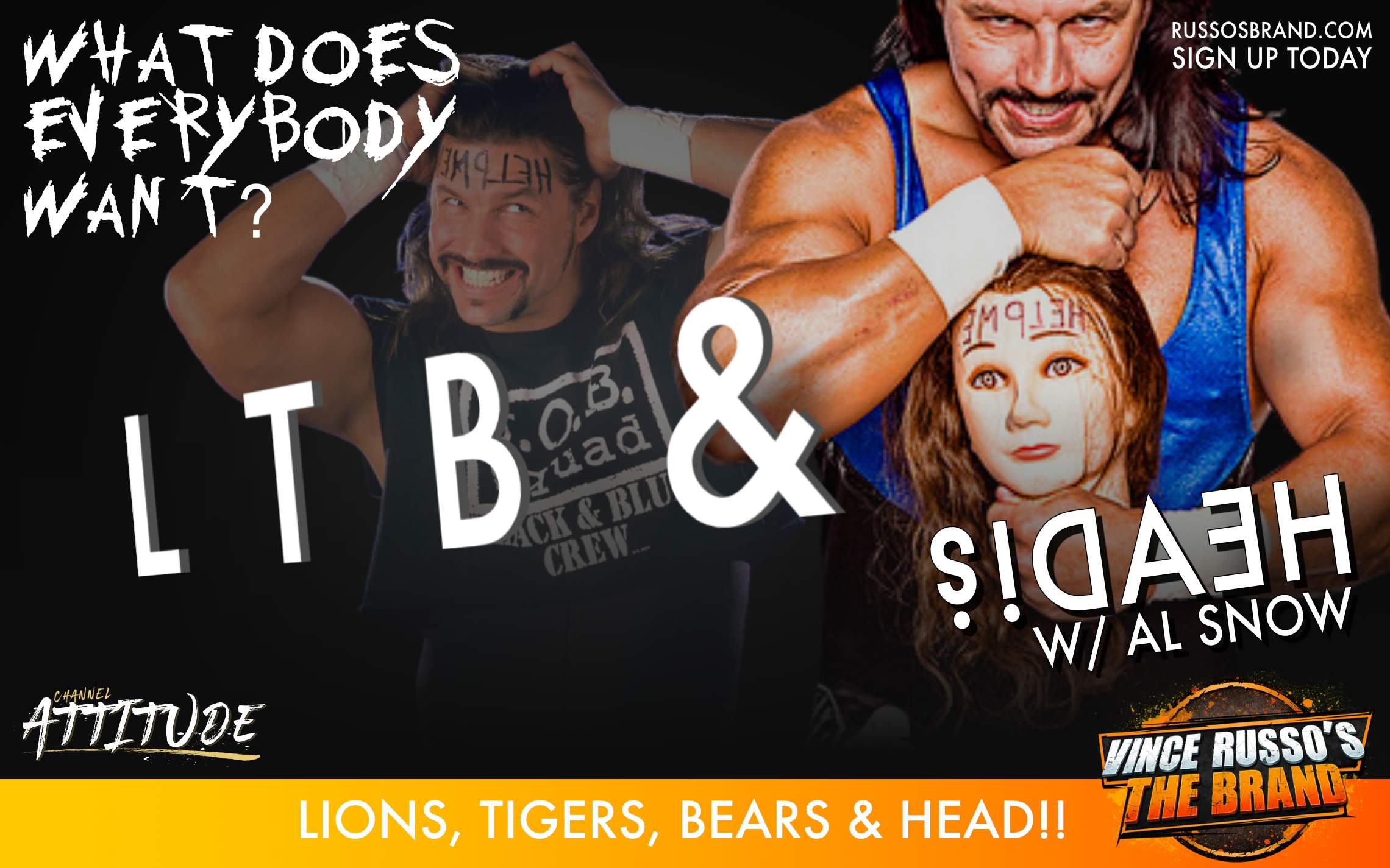 ShowBrandLionsTigersBearsandHead